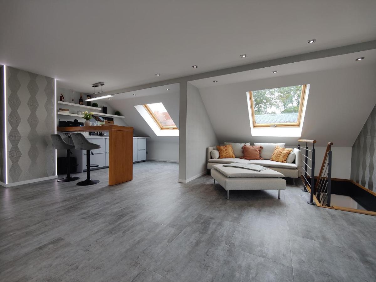 Ferienhaus Villa Adelsberg Mit Dachterrasse In Zentraler Lage Fuer Bis Zu 10 Personen Chemnitz Dış mekan fotoğraf