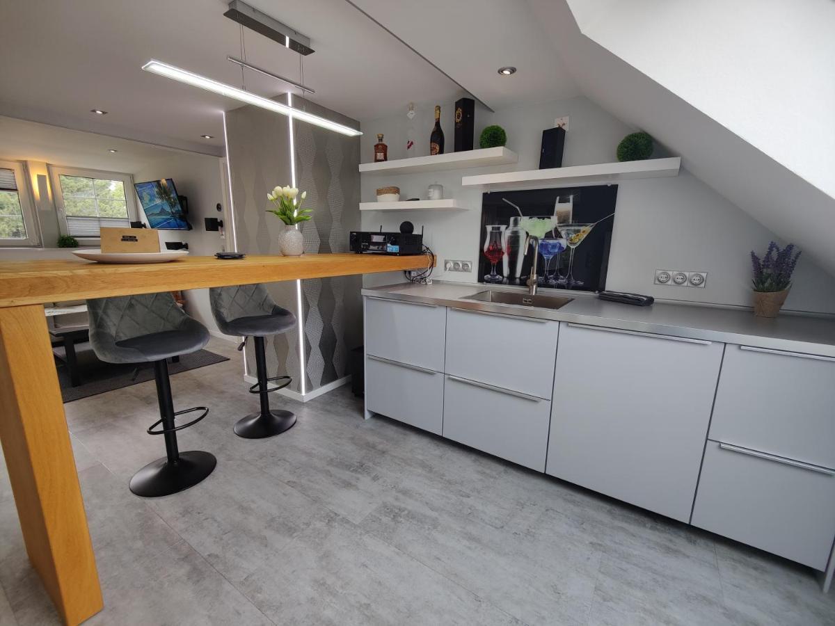 Ferienhaus Villa Adelsberg Mit Dachterrasse In Zentraler Lage Fuer Bis Zu 10 Personen Chemnitz Dış mekan fotoğraf