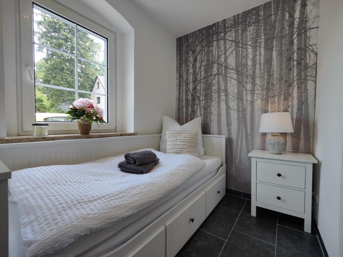 Ferienhaus Villa Adelsberg Mit Dachterrasse In Zentraler Lage Fuer Bis Zu 10 Personen Chemnitz Dış mekan fotoğraf