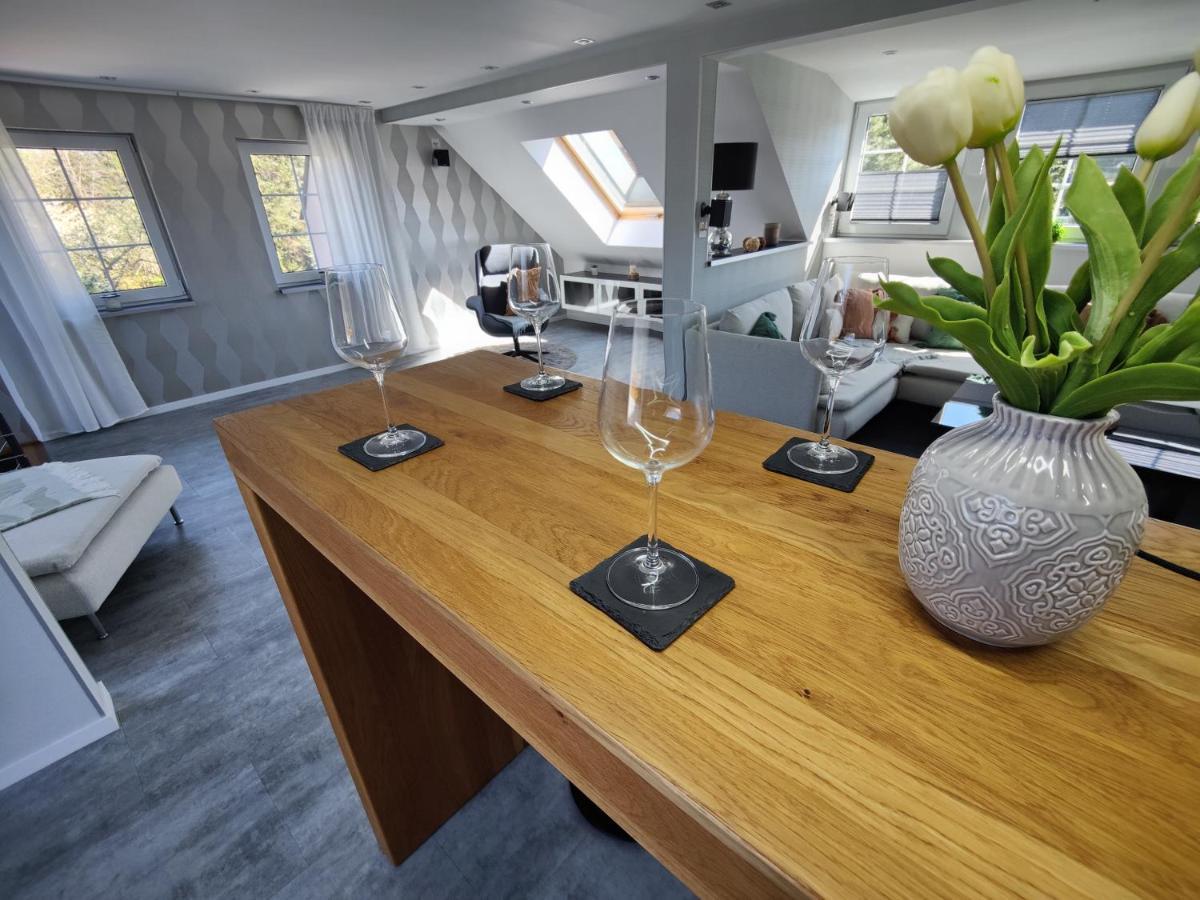 Ferienhaus Villa Adelsberg Mit Dachterrasse In Zentraler Lage Fuer Bis Zu 10 Personen Chemnitz Dış mekan fotoğraf