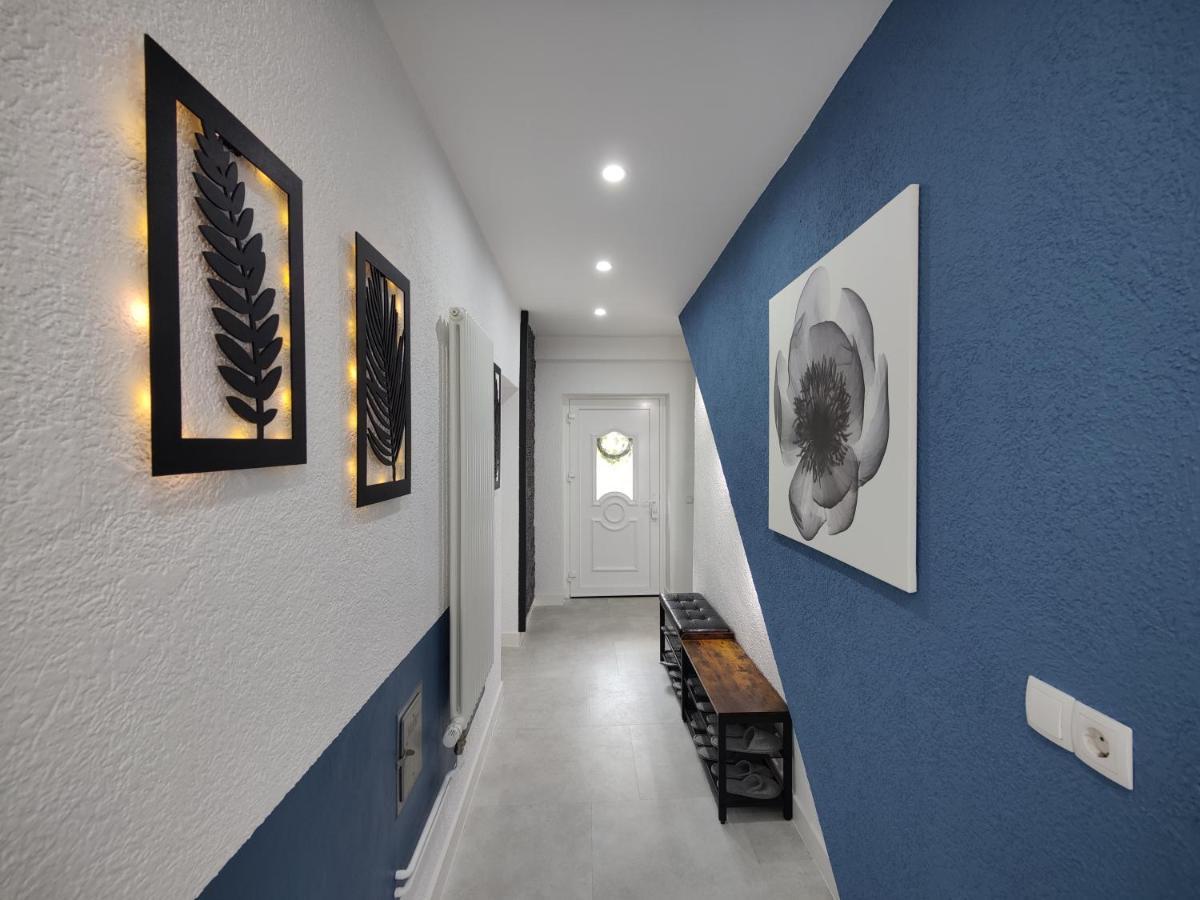 Ferienhaus Villa Adelsberg Mit Dachterrasse In Zentraler Lage Fuer Bis Zu 10 Personen Chemnitz Dış mekan fotoğraf